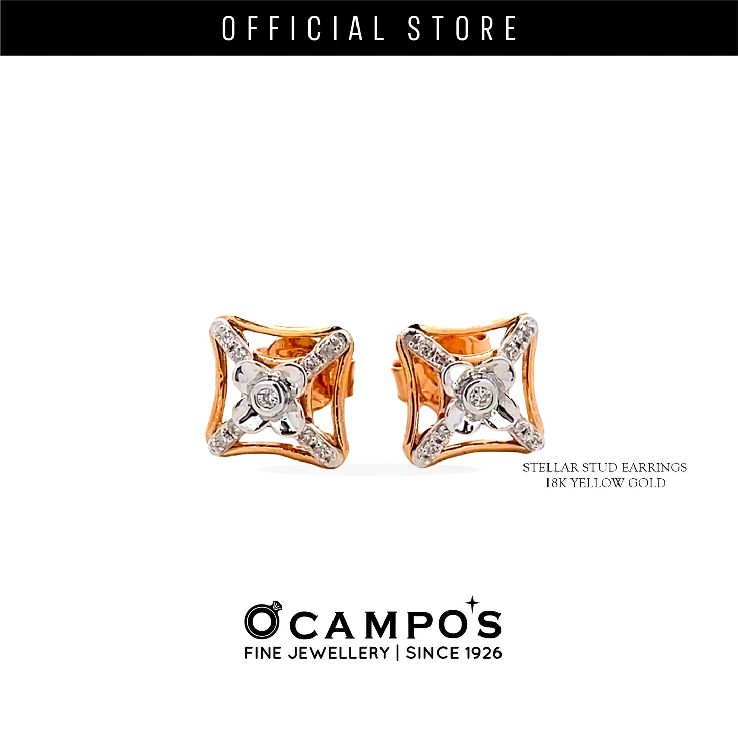 STELLAR TWO-TONED STUD EARRINGS