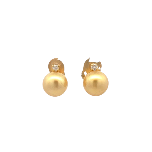 Clara Champagne South Sea Pearl Earrings