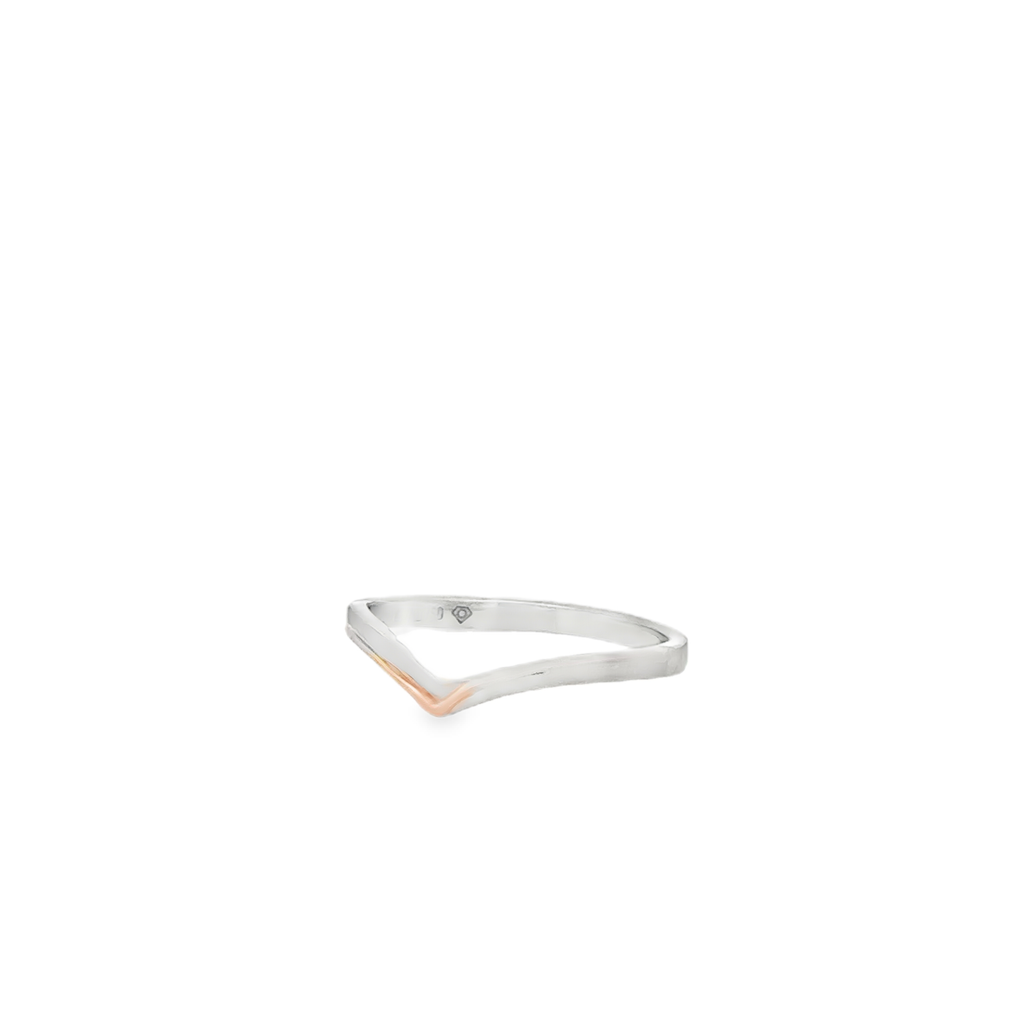 Chrysa Wedding Ring in 18K Two-Tone Gold with Platinum (Size 6)