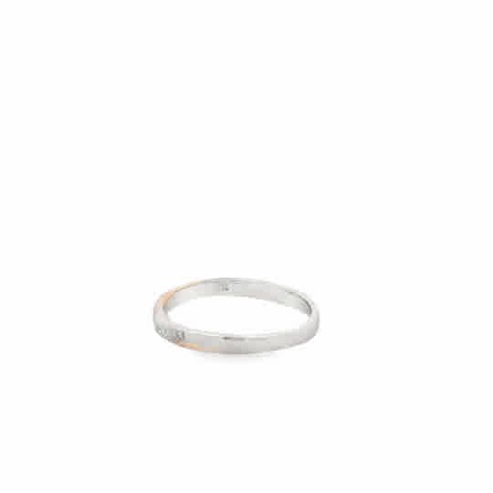 Isolde 18 Karat 2 Tone Platinum Wedding Ring 5 Diamond -.017 Carat S-6