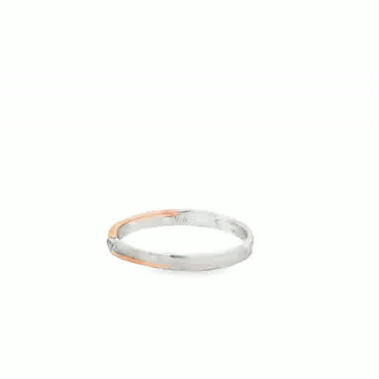 Sapphira 18 Karat 2 Tone Platinum Wedding Ring .018 Carat S-6.5