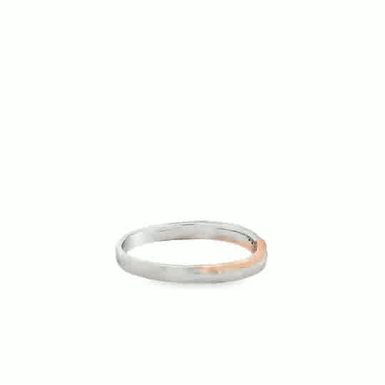 Sapphira 18 Karat 2 Tone Platinum Wedding Ring .018 Carat S-6.5